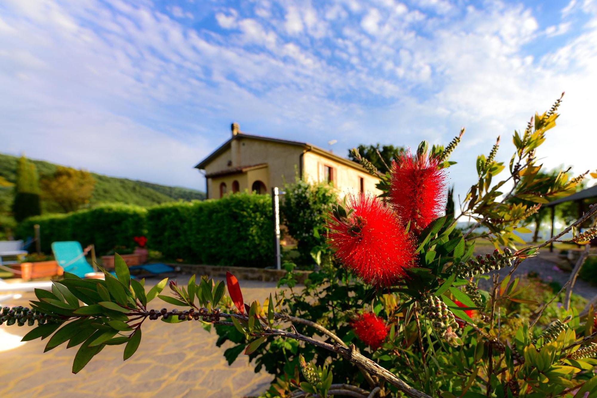 Agriturismo Le Casaline Seggiano Εξωτερικό φωτογραφία