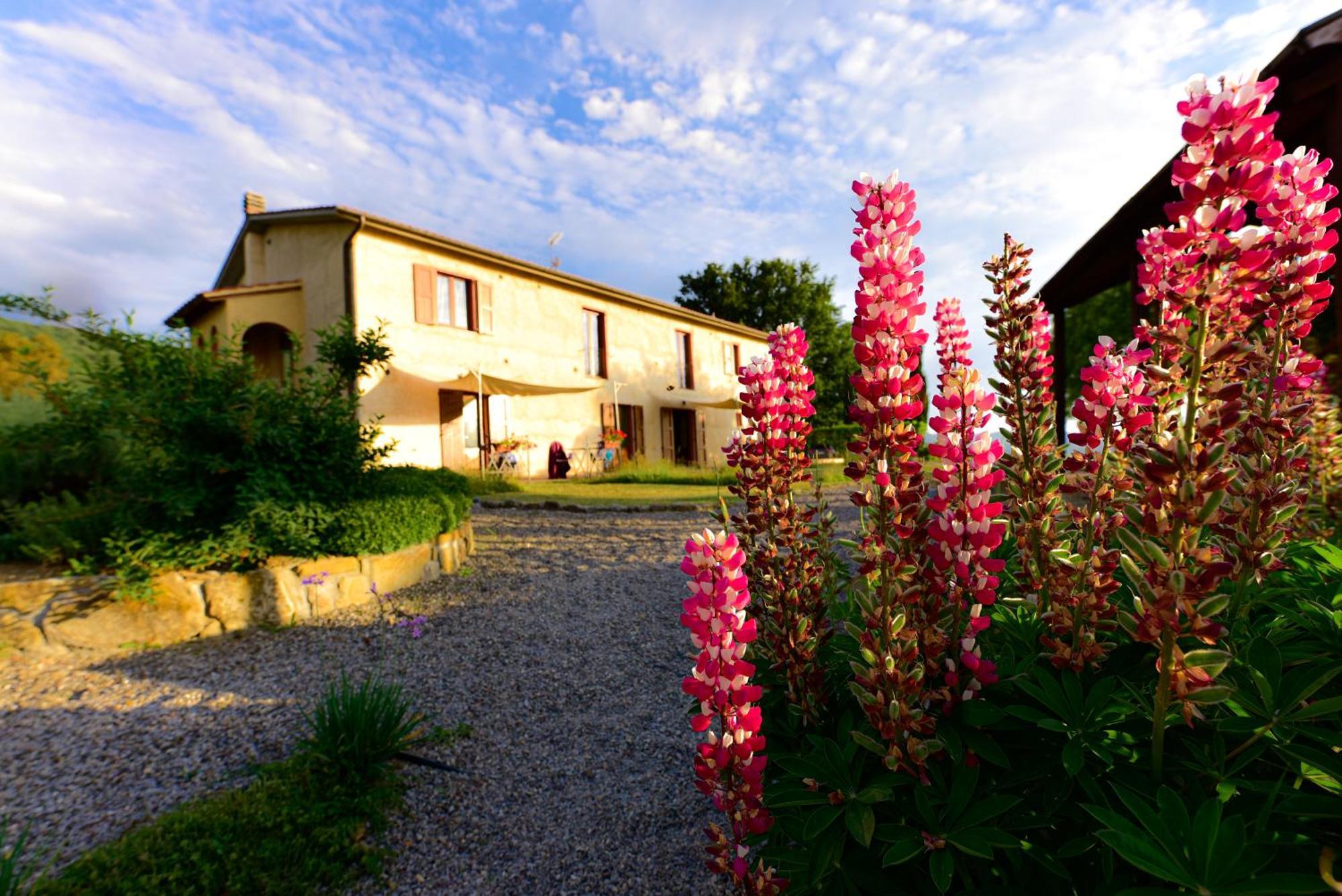 Agriturismo Le Casaline Seggiano Εξωτερικό φωτογραφία
