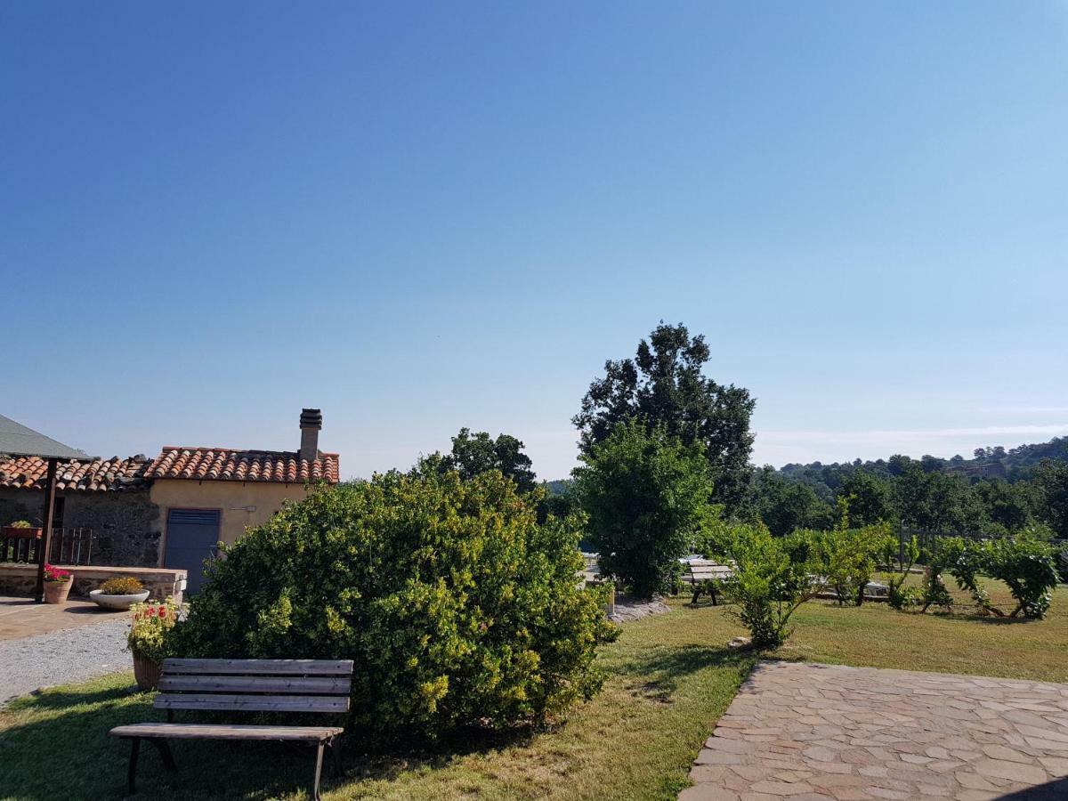 Agriturismo Le Casaline Seggiano Εξωτερικό φωτογραφία