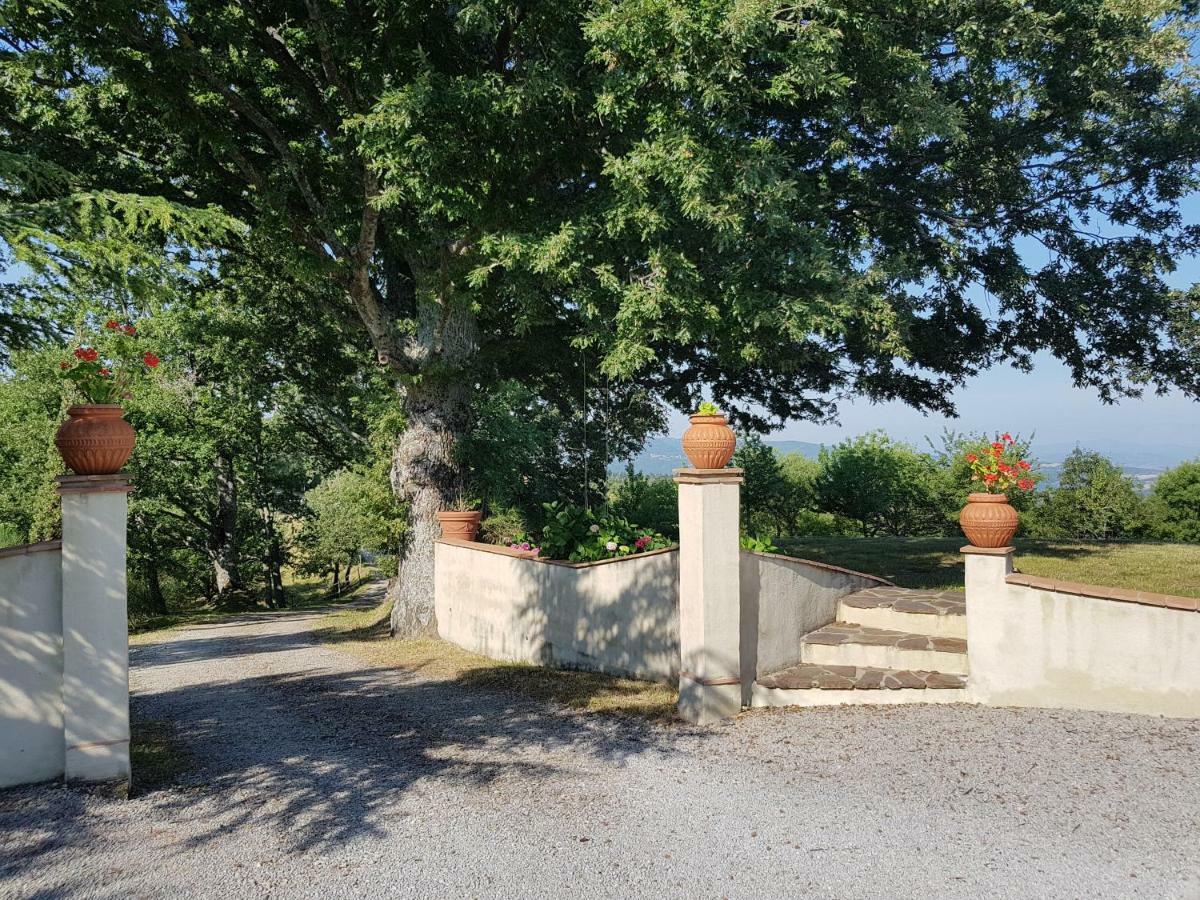 Agriturismo Le Casaline Seggiano Εξωτερικό φωτογραφία