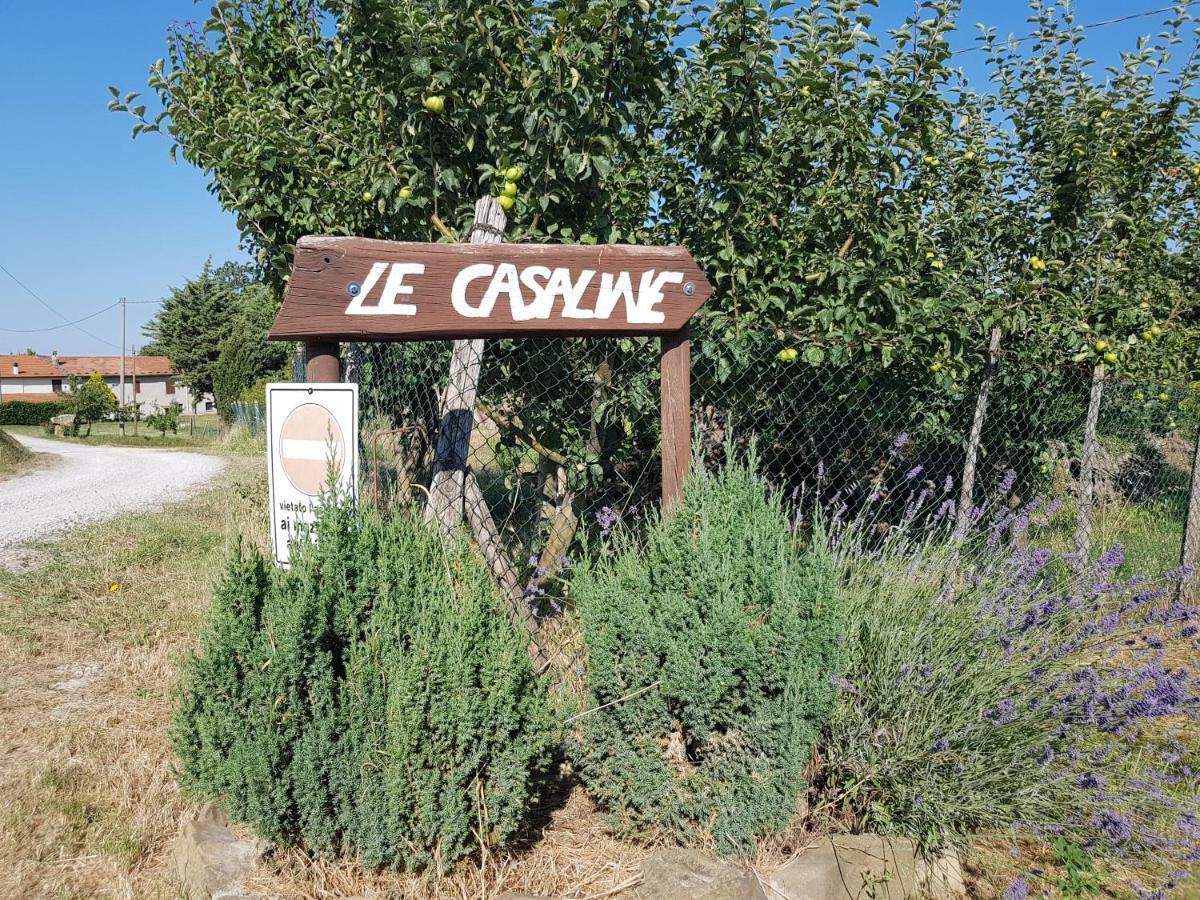 Agriturismo Le Casaline Seggiano Εξωτερικό φωτογραφία